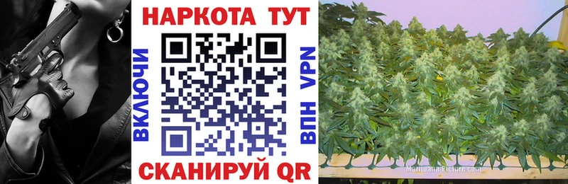 Бошки Шишки Лихославль