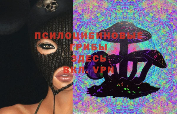 ГАЛЛЮЦИНОГЕННЫЕ ГРИБЫ Гусиноозёрск