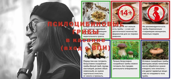 ГАЛЛЮЦИНОГЕННЫЕ ГРИБЫ Гусиноозёрск