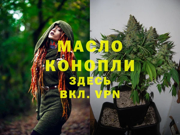 ГАЛЛЮЦИНОГЕННЫЕ ГРИБЫ Гусиноозёрск