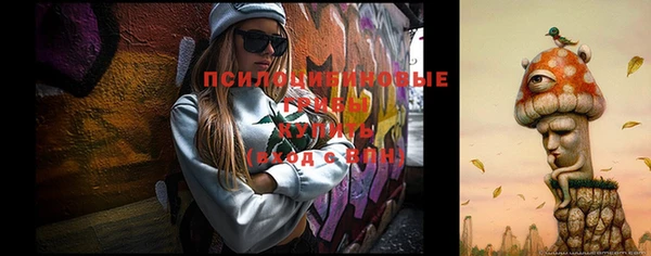 ГАЛЛЮЦИНОГЕННЫЕ ГРИБЫ Гусиноозёрск