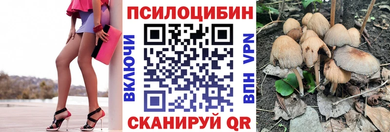 купить наркотик  Лихославль  Галлюциногенные грибы Cubensis 